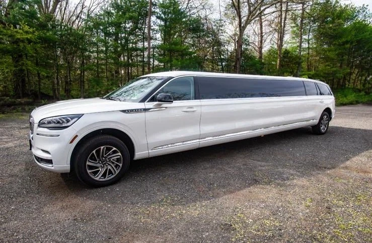 White Limousine Suv Park Duval County Florida in Duval, Florida