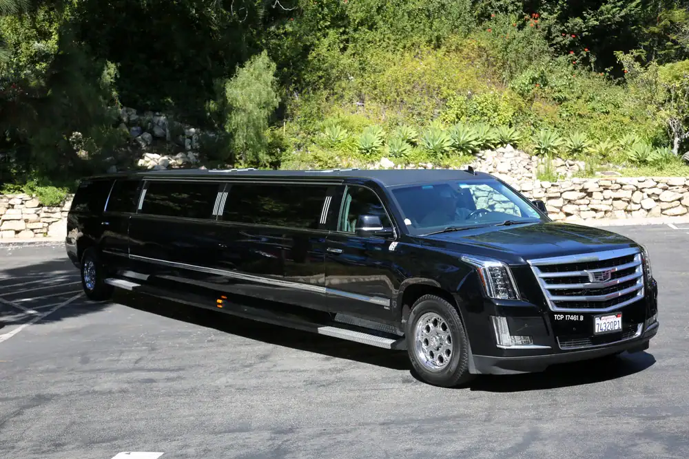 A long, black stretch limousine from a top-rated limo service New Jersey is parked on a paved driveway, surrounded by greenery and stone landscaping in the background.